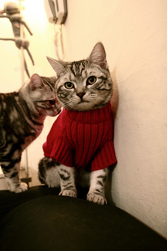 复古球衣热潮回归,怀旧风潮席卷联盟,好看的复古球衣