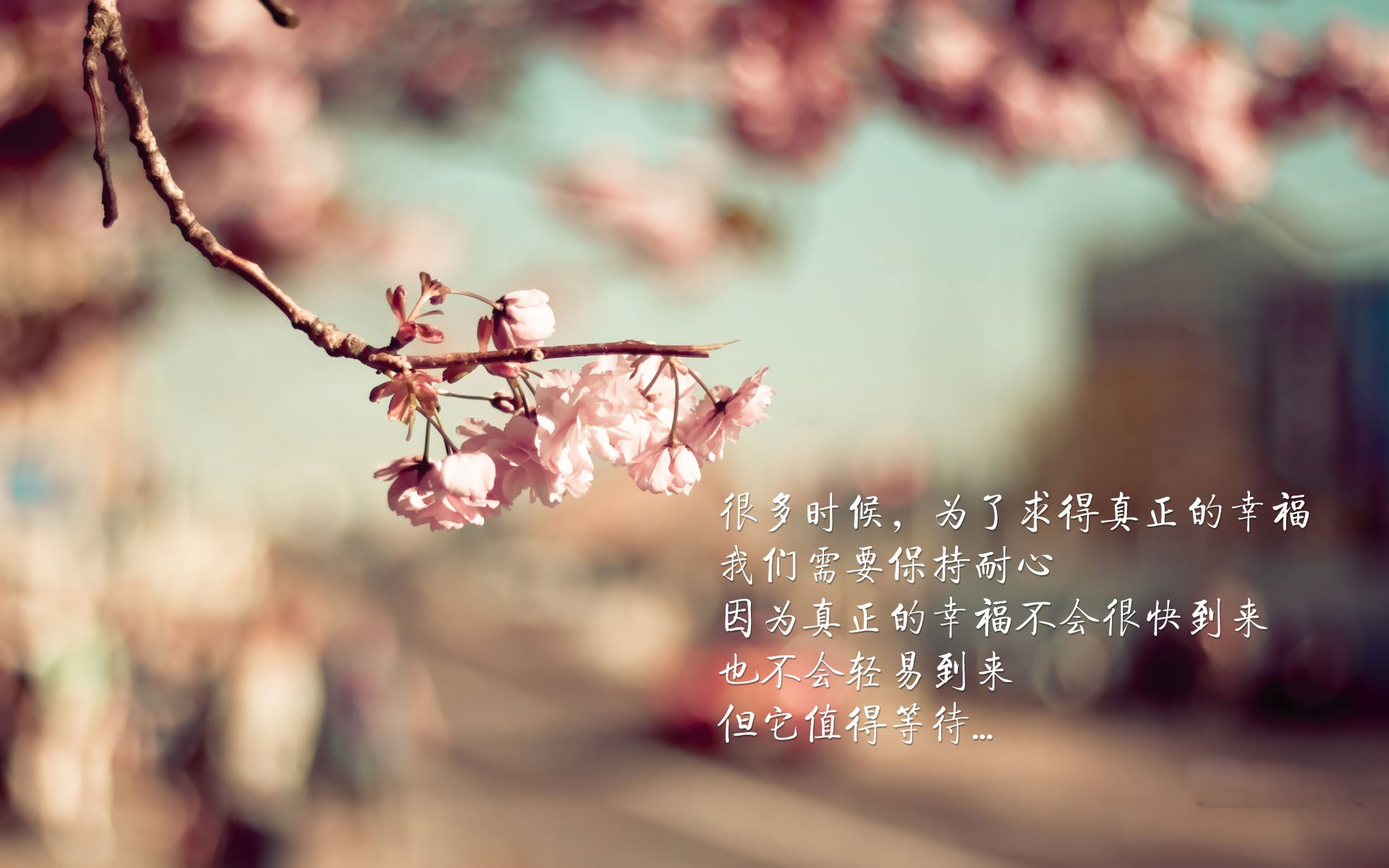 德甲最新比分:激烈角逐,谁能笑到最后?,德甲实时比分