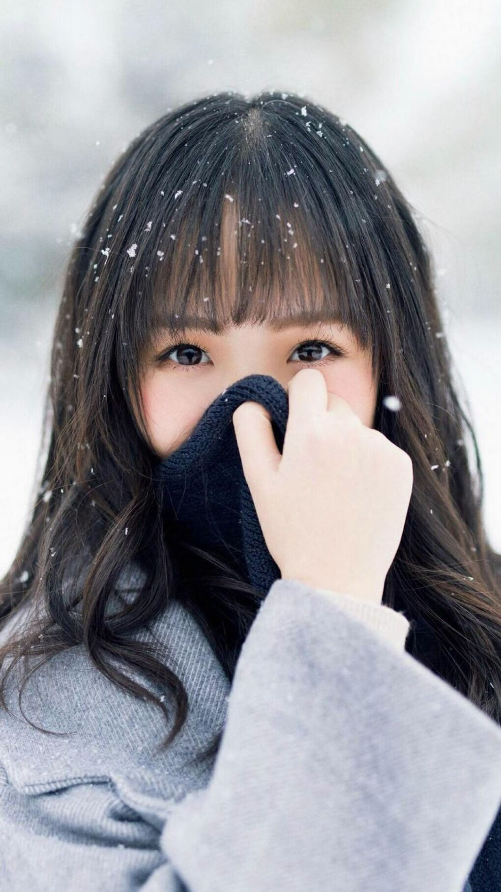 日本马术队在2024年世界马术运动会中获得团体三项赛银牌,成绩斐然。