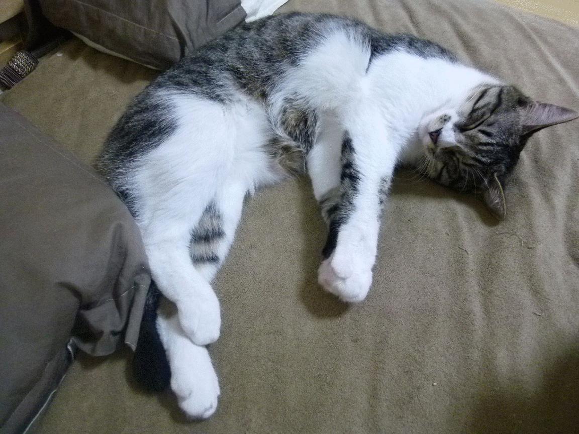 机构合作推动生态完善:高校、企业、平台共同育人育内容,深化校企合作机制