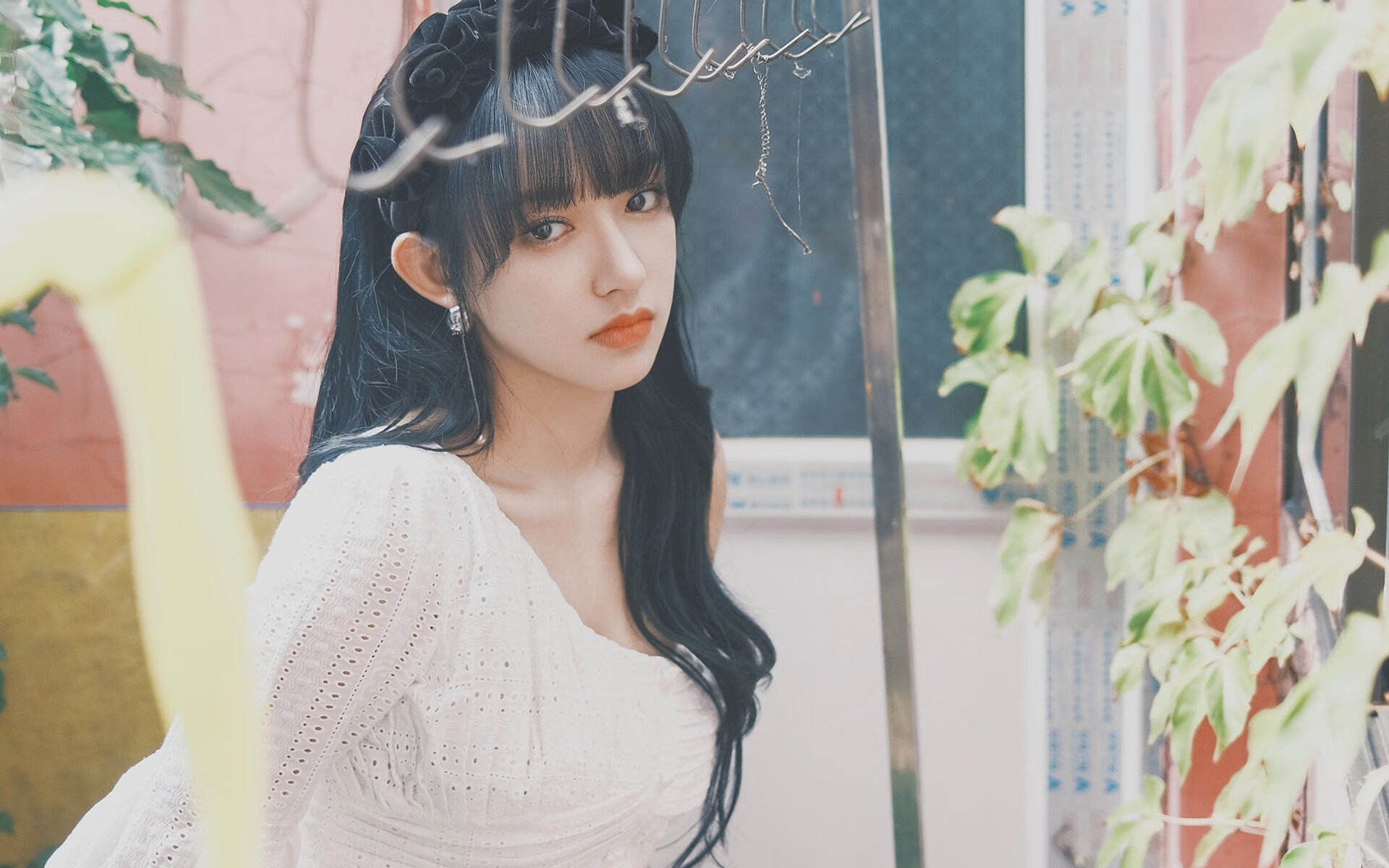 森林狼球员持股本地初创公司,开启商业新篇章,森林狼球队市值