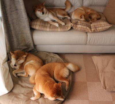 特色山野漂流体验,冲破河流的极限运动,山地漂流