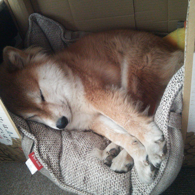 九游jiuyou-赛事中的“奇妙局”回顾与解析，奇奇妙妙的禁赛