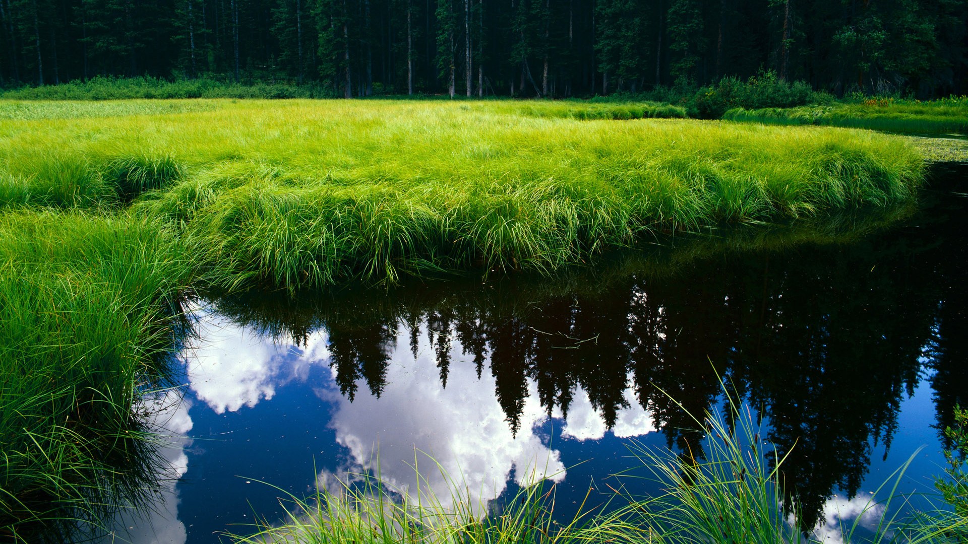 JDG核心选手状态爆棚,dyg战队核心