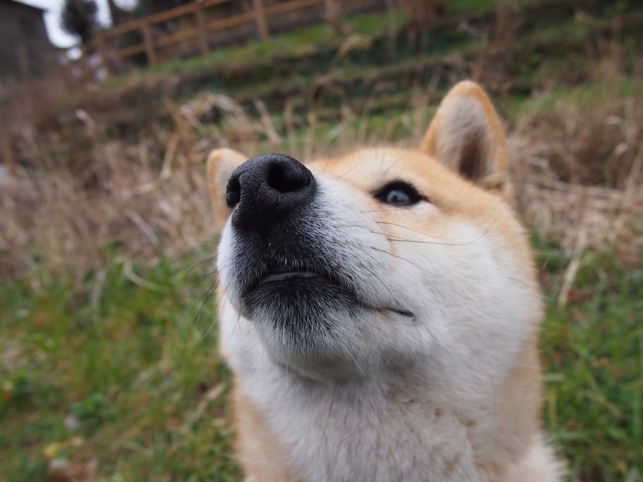 九游下载中心-克里斯塔尔宫对抗邓迪联，胜利之门渐近，克里斯塔尔里德