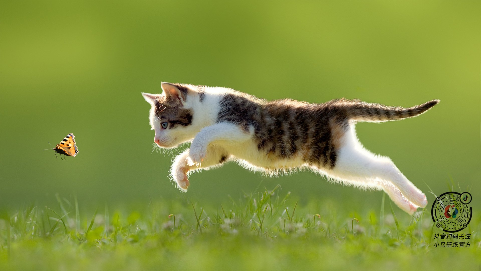 北京国安再获胜利，积分赶超对手，北京国安赢了吗