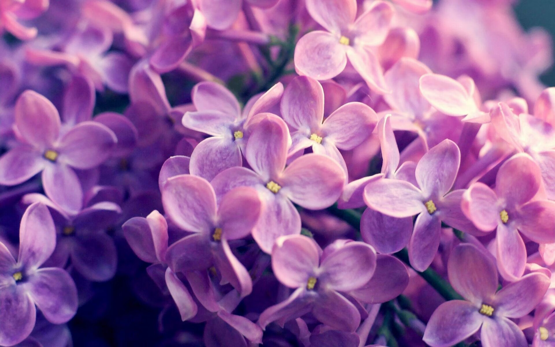 九游网页版官网-勇士在主场大胜雷霆，保持领先地位，2021年5月9日勇士vs雷霆